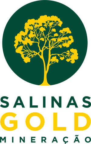 Salinas Gold Mineração